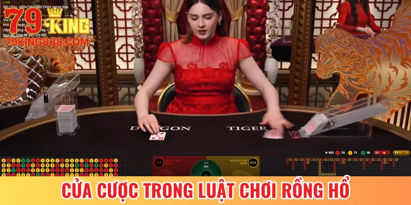 Cửa cược trong luật chơi Rồng Hổ